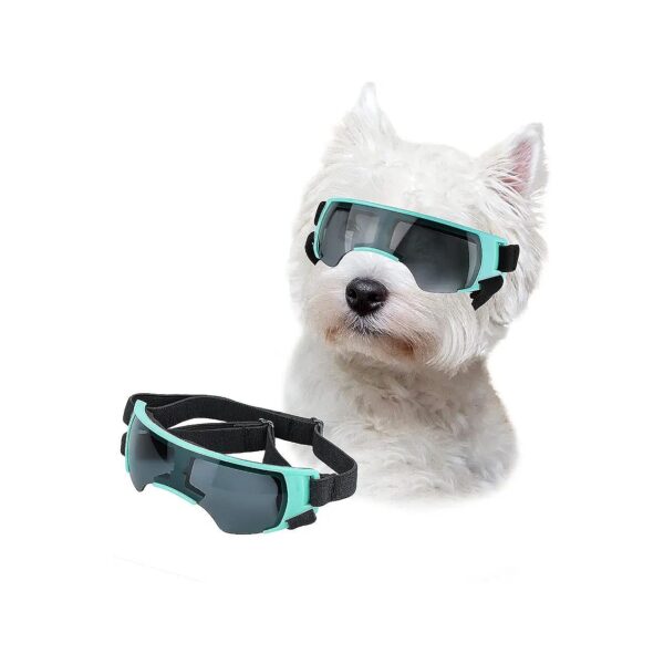 Blue Windproof Dog Sunglasses Small Breed Eye Protection Goggles for Small Dogs