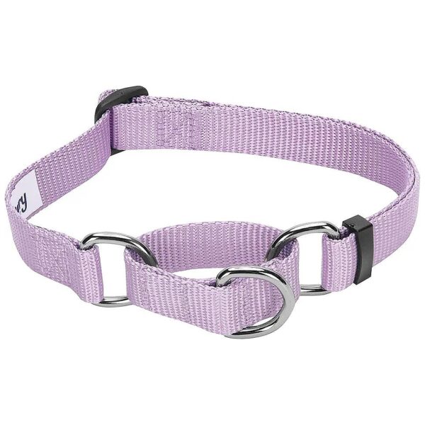 Blueberry Pet Essentials Martingale Safety Training Dog Collar Lavender Large