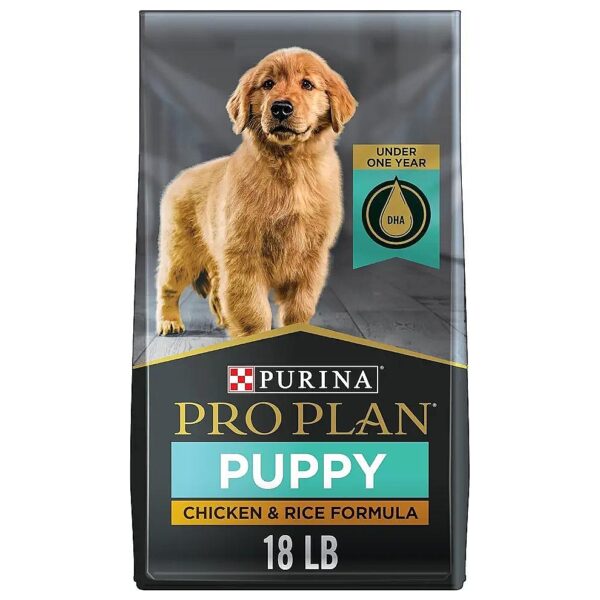 Brain and Vision Development Supplement for Puppies with High Quality Protein