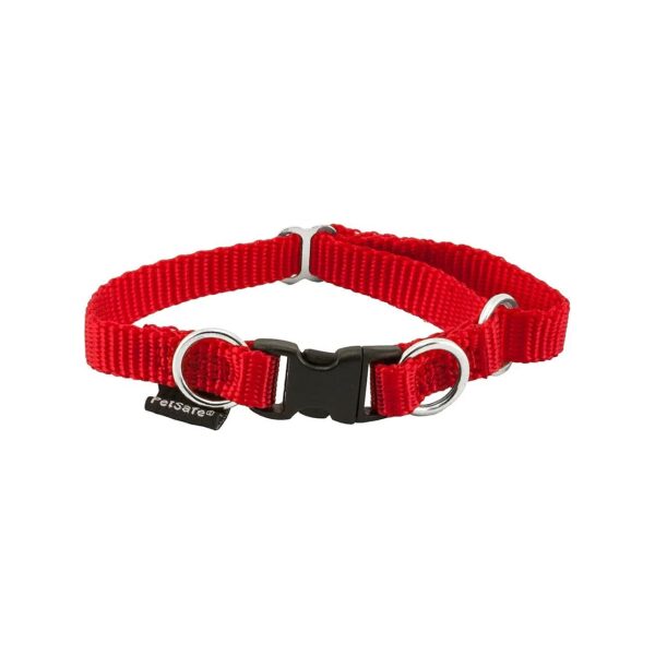 Break-Away Collar for Dogs and Puppies, Prevents Accidents and Ensures Safety