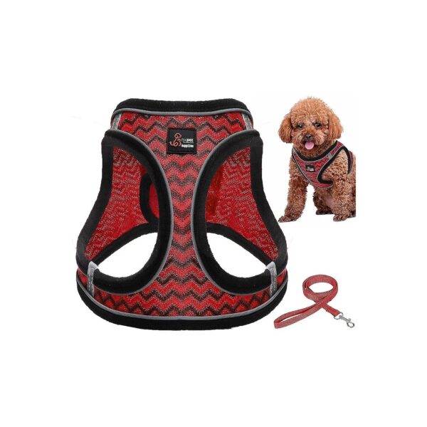 Breathable Air Mesh Step-In Dog Harness and Leash for Small to Medium Size Red Dogs