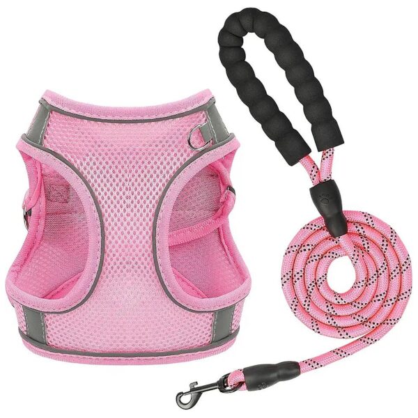 Breathable Air-Mesh Comfortable Adjustable Dog Harness and Lead Set for Small Medium Pets