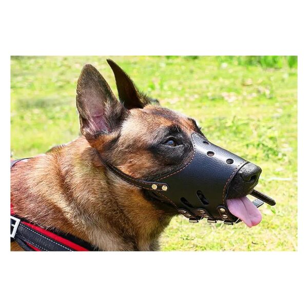 Breathable Basket Muzzle for Small Dogs with Adjustable Fit and Soft Comfortable Design