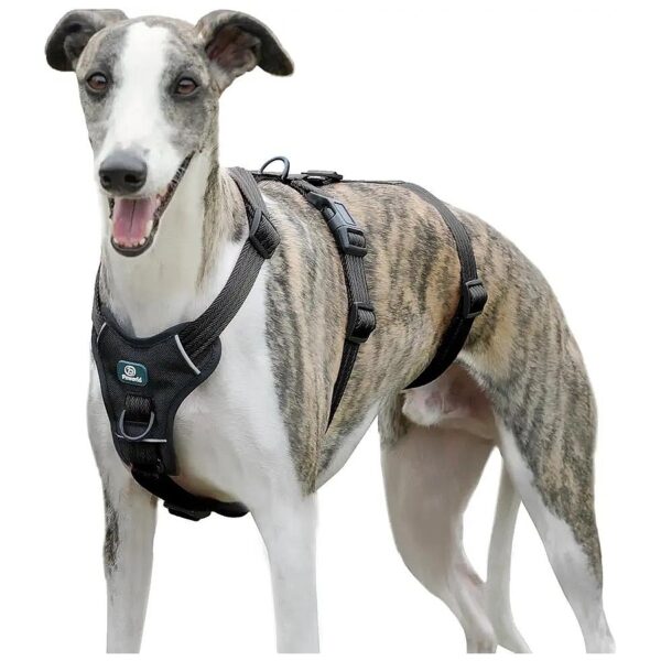 Breathable Escape Proof Dog Harness Medium Largish for Outdoors and Training