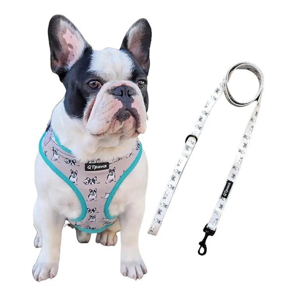 Breathable Mesh French Bulldog Harness with Reflective Pattern for Medium-Sized Frenchies