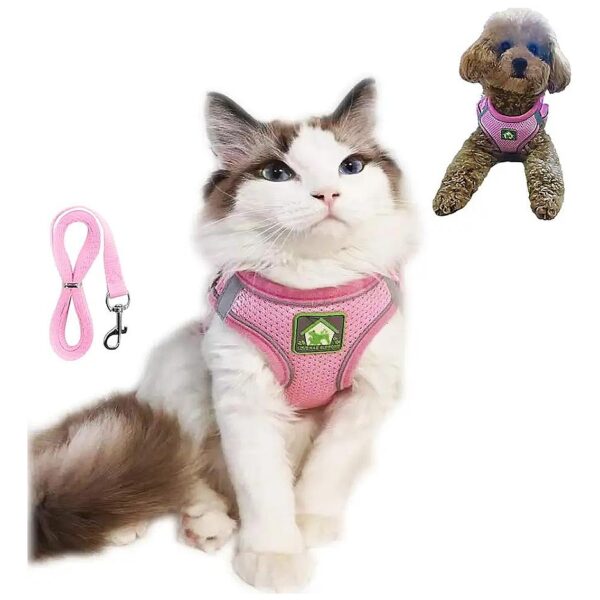 Breathable Mesh Small Dog Harness for Walking Comfort with No Pull Prevention