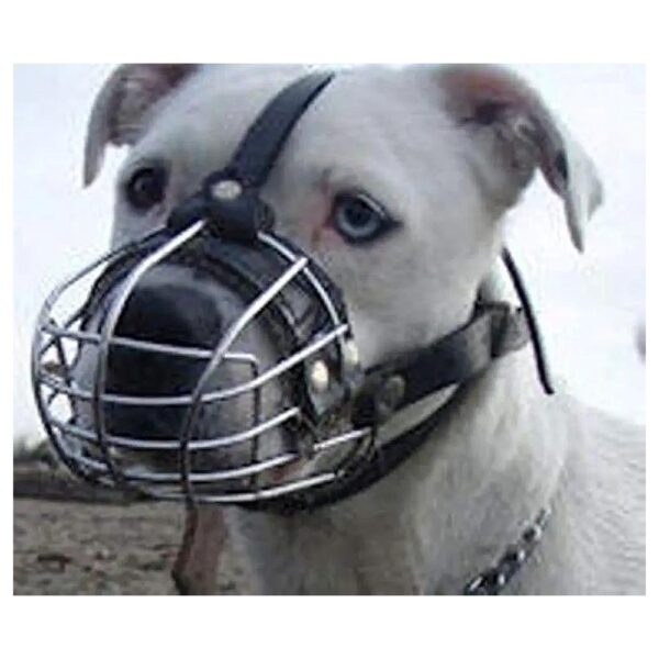 Breathable Metal Wire Basket Dog Muzzle with Black Leather for Pitbull Amstaff Dogs