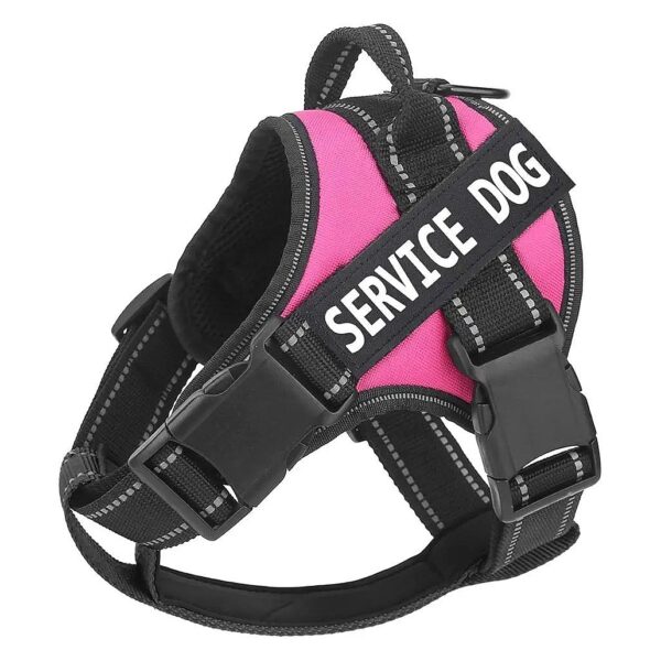 Breathable No Pull Dog Harness with Handle for Small Medium Large Dogs