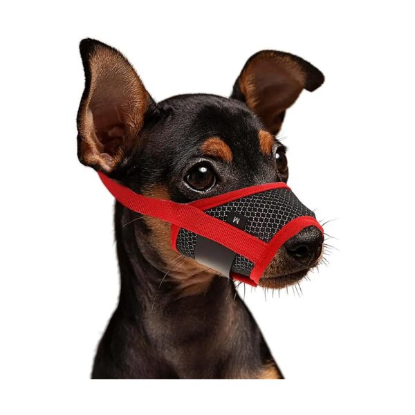 Breathable Nylon Dog Muzzle for Small Breeds with Mesh Material and Adjustable Belt