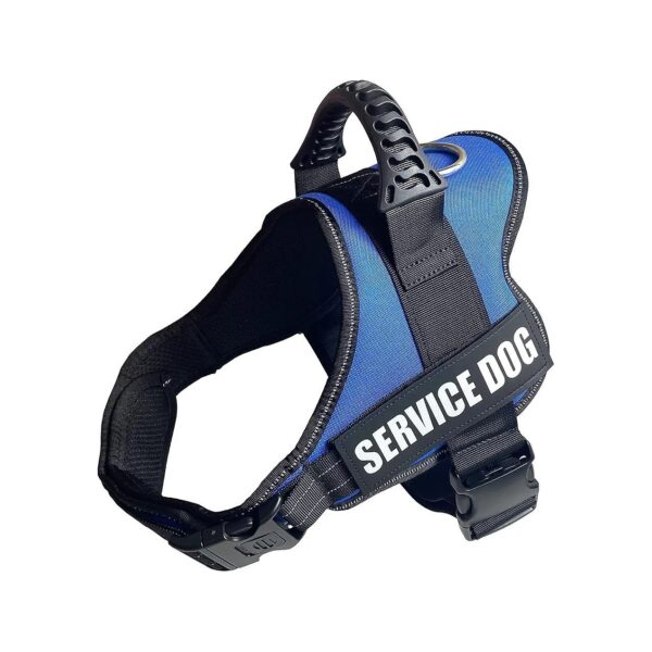 Breathable Padded Dog Harness for All-Weather Training and Hiking