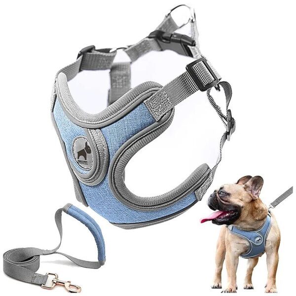 Breathable Padded No Pull Dog Harness with Leash Set for Comfortable Walking and Training