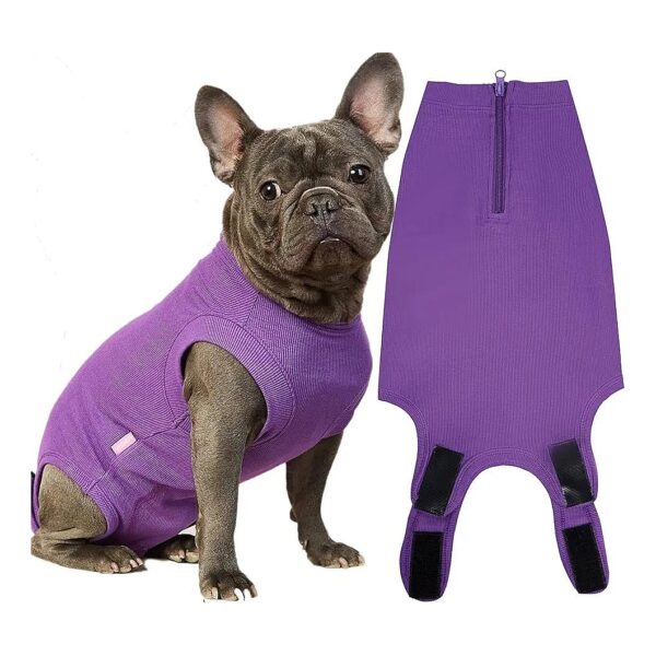 Breathable Purple Onesie Recovery Suit for Large Female and Male Dogs Spay Surgery