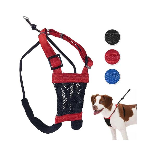 Breathable Red Nylon Dog Harness for Small Breeds - No-Pull Control and Comfort