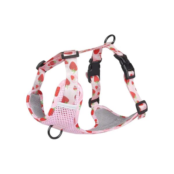 Breathable Summer Dog Harness with Adjustable Straps and D-Rings for Small to Large Dogs