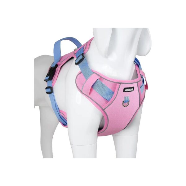 Breathable and Comfortable No Pull Dog Harness for Extra Small Dogs with Safety Buckles