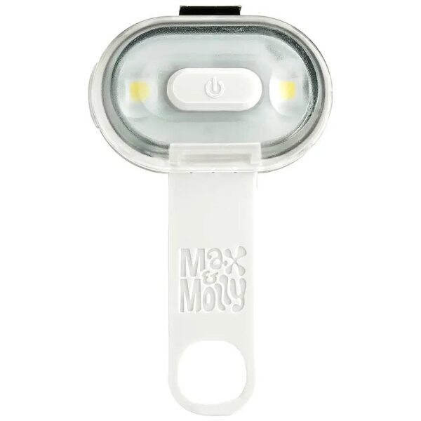 Bright and Dimmable LED Light for Outdoor Dog Fun and Safety