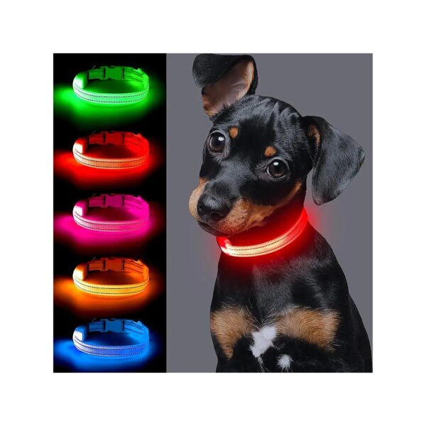 BrightSafety Light Up Dog Collar with Adjustable Size and Three Light Modes