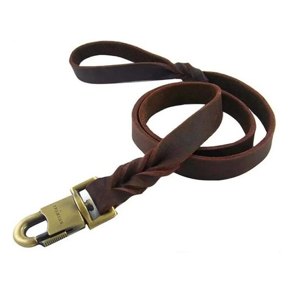 Brown 59 Inch Genuine Cowhide Leather Heavy Duty Dog Leash for Medium and Large Dogs