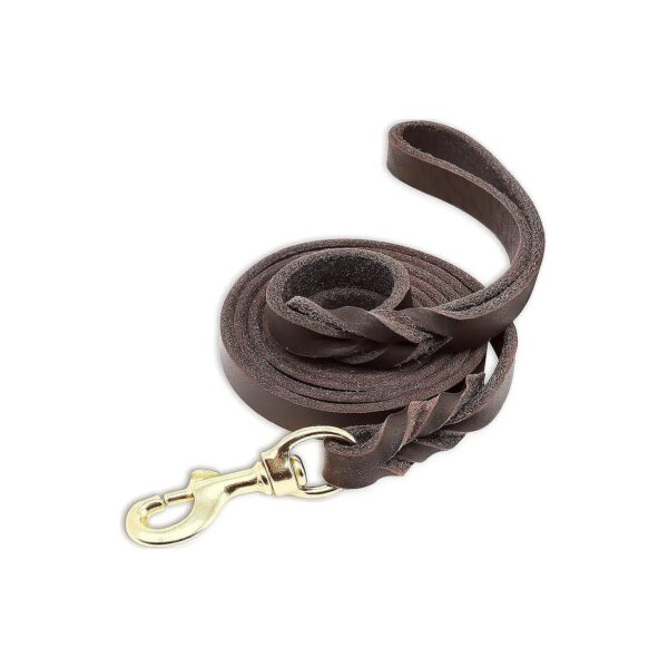 Brown Leather 6FT Braided Leash for Small Medium Large Breed Dogs