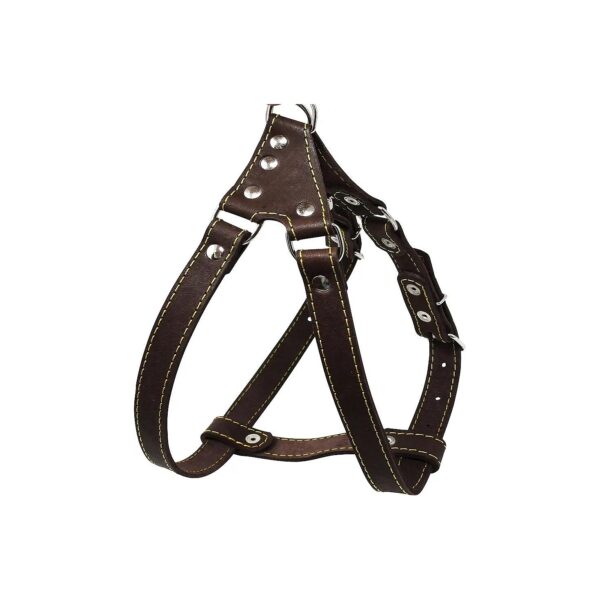 Brown Leather Step-in Harness for Medium Dogs Adjustable from 5-22 Inches Chest Girth