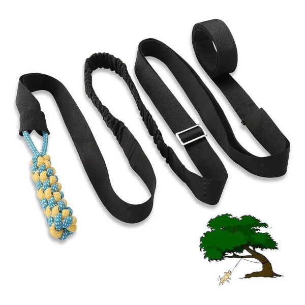 Bungee Hanging Toy for Outdoor Fun and Exercise for Dogs