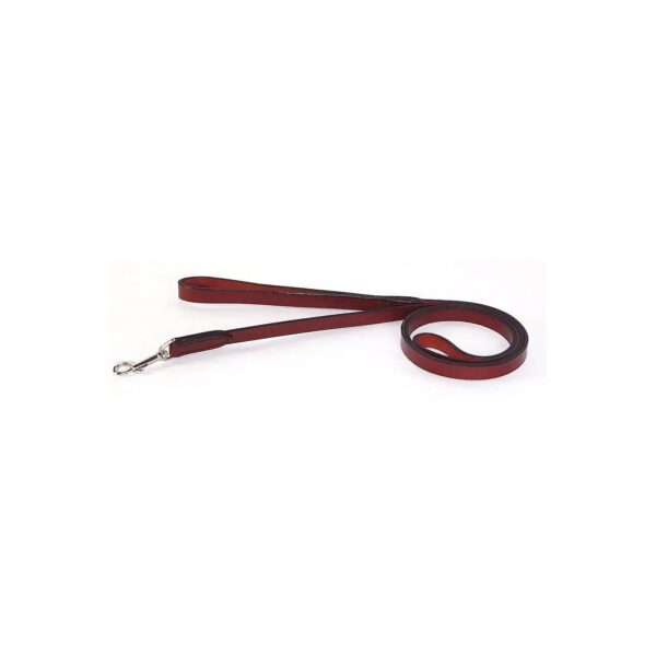 Burgundy Leather Dog Lead for Training and Daily Use