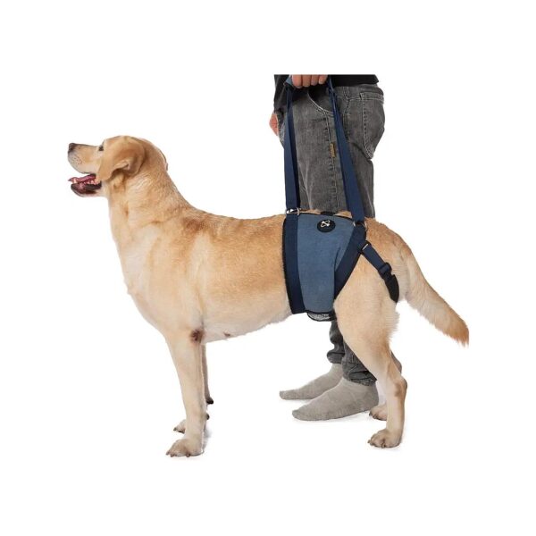 COODEO Dog Sling Carrier for Dogs with Weak Rear Legs, Easy to Use and Machine Washable