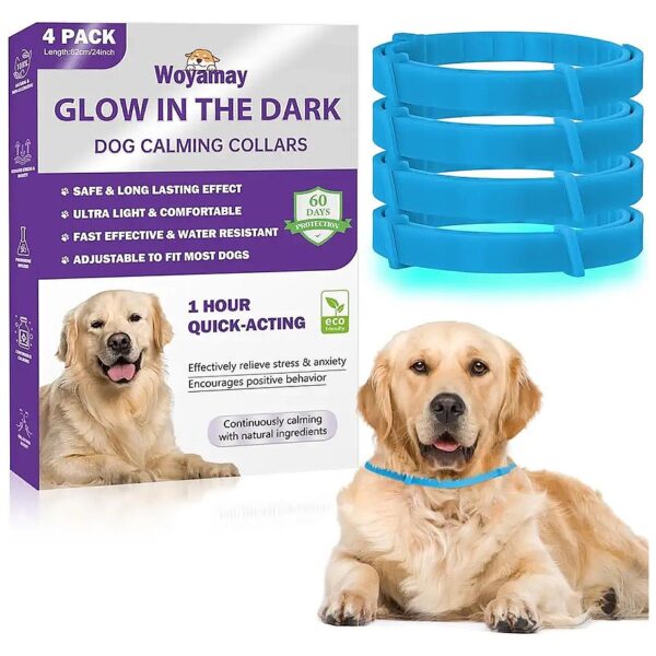 Calming Dog Collars for Separation Anxiety Relief with Luminous Technology