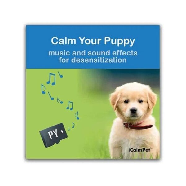 Calming Music and Behavior Tips for Puppies with Noise Phobias and Sound Sensitivities