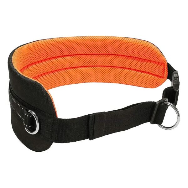 Canicross Waist Belt for Running Walking Hiking with Dog Black Neonorange