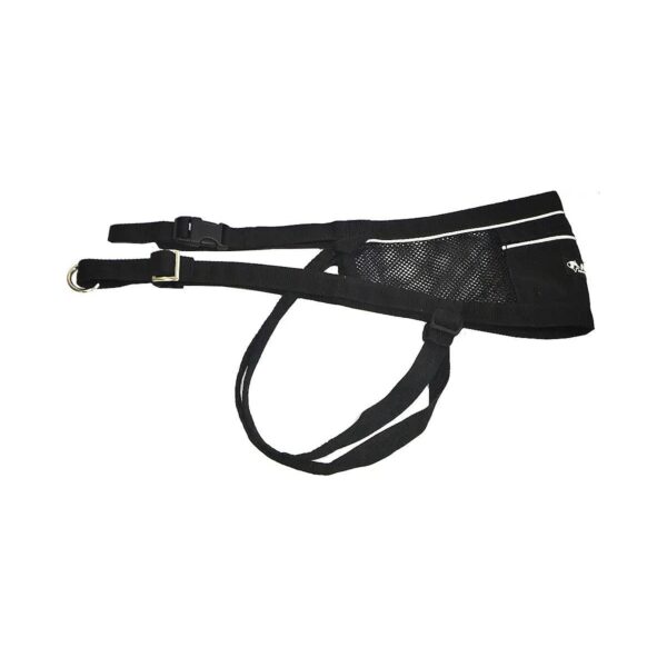 Canicross and Skijoring Belt for Hands-Free Walking or Running with Your Dog