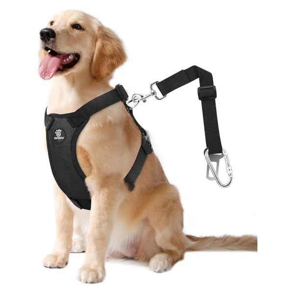 Carabiner and Travel Strap Included in This Adjustable Dog Car Safety Vest