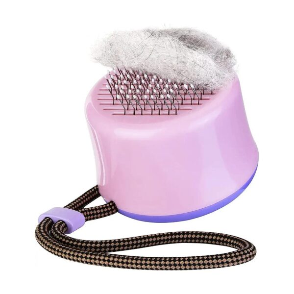 Cat Brushes for Short Hair Indoor Pets with Deshedding and Detangling