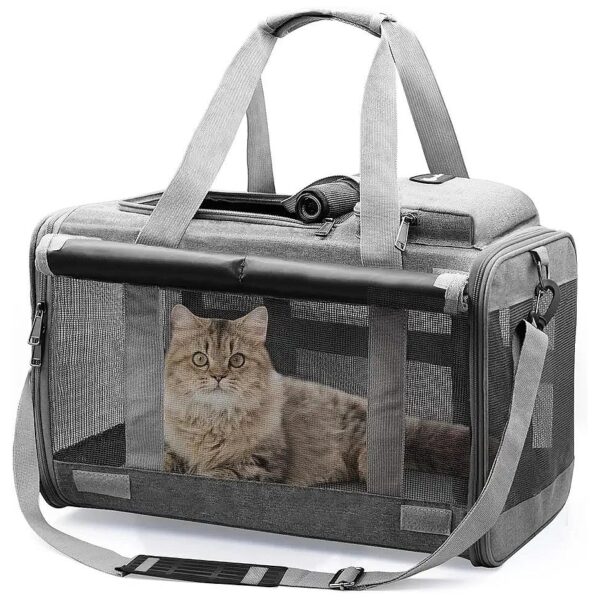 Cat Carrier for Small Dogs and Cats with 5 Mesh Windows and Foldable Design