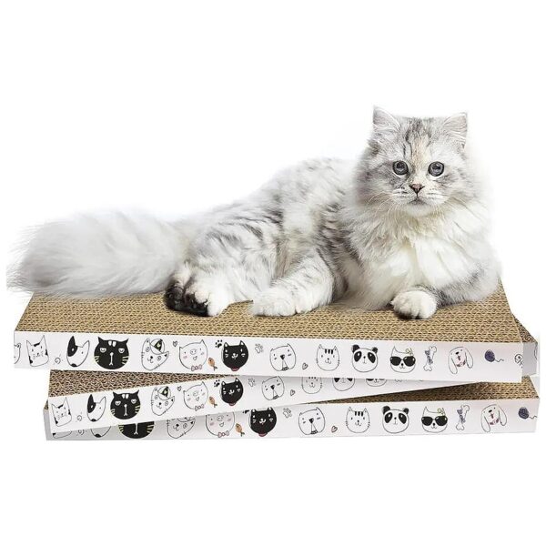 Cat Scratch Cardboard for Indoor Cats - 3 Pack with Cute Patterns, Catnip,