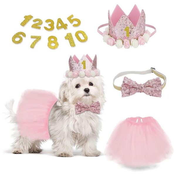 Cat and Dog Birthday Party Supplies Pink Tutu Skirt Hat and Bow Tie Set