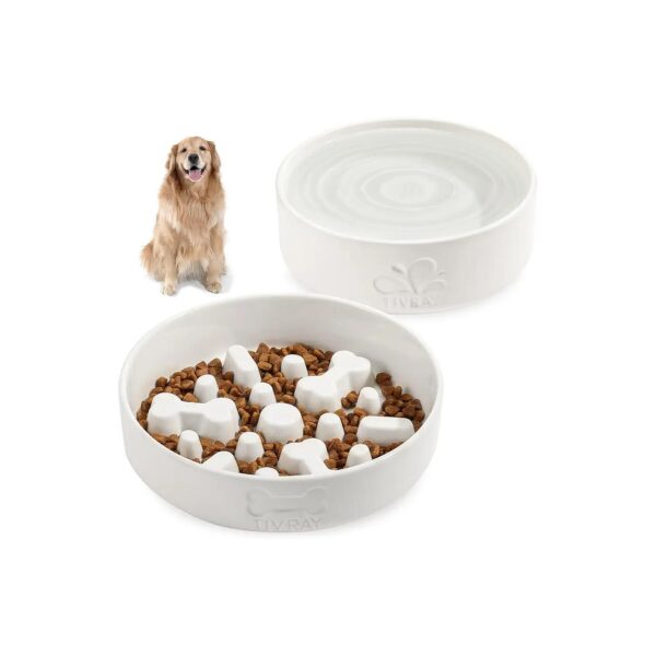 Ceramic Dog Bowls for Large Breed Dogs with Comfortable Feeding