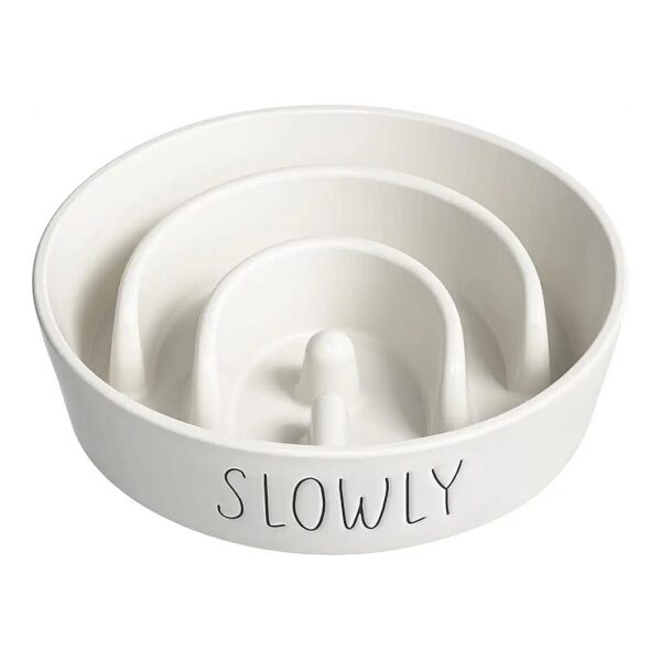 Ceramic Food Bowl Slow Feeder for Small Medium Large Breed Dogs Fast Eater Eating Puzzle