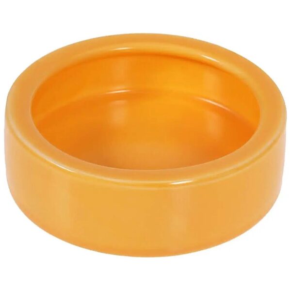 Ceramic Food Bowl for Small Animals and Reptiles