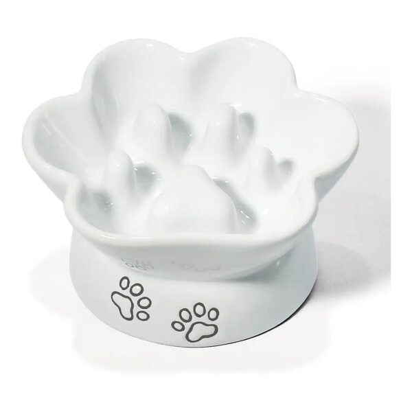 Ceramic Slow Feeder Bowl for Cats and Small Dogs with Raised Ridges