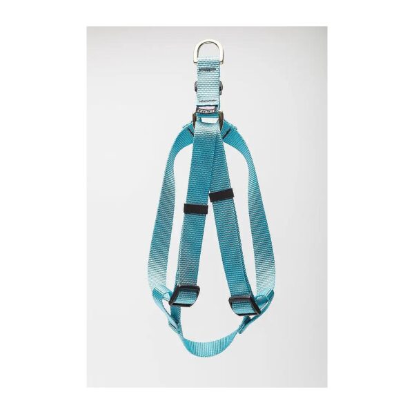 Cetacea Step-in Pet Harness for Small Dogs with Turquoise Webbing