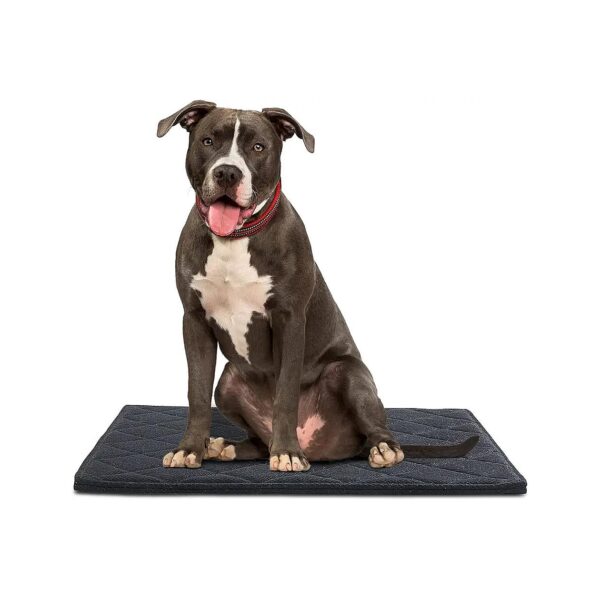 Chew Proof Dog Bed Pad Mat for Small and Medium Tough Dogs