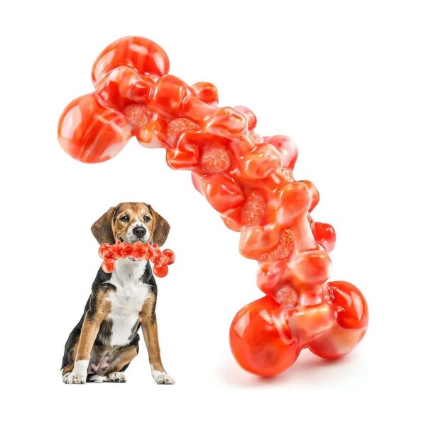 Chew Toys for Training and Cleaning for Large Aggressive Chewers