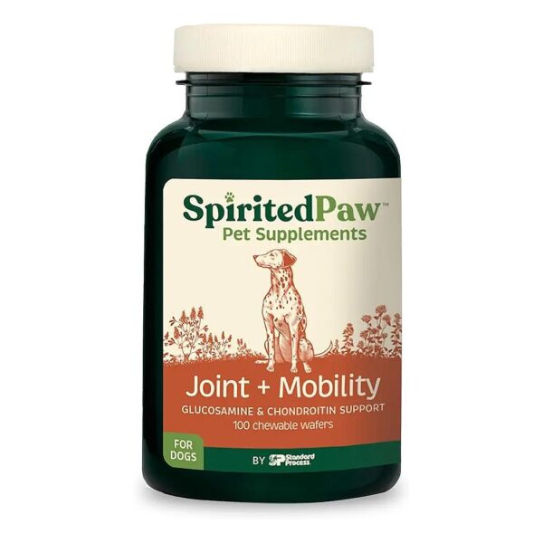 Chewable Joint Supplement for Dogs with Glucosamine, Chondroitin, and Antioxidants