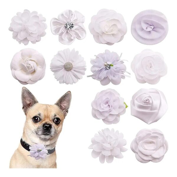 Chiffon Collar Flowers for Female Small to Medium Dogs and Cats in a Variety of Styles