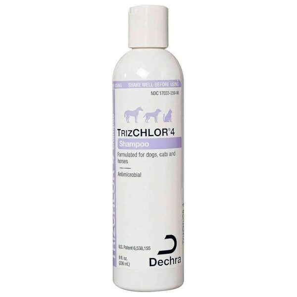 Chlorhexidine, TrizEDTA, and Betaine Medicated Dog & Cat Shampoo