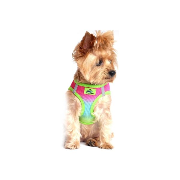 Choke Free American River Ombre Rainbow Dog Harness for Medium Pets with V Cut Technology