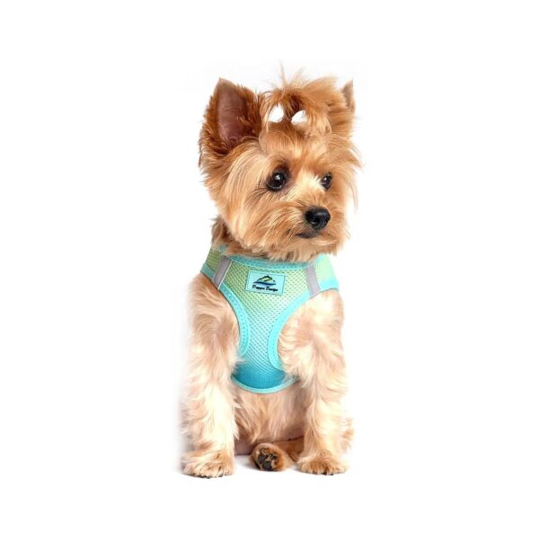 Choke Free UltraMesh Buckle Harness for Small Dogs in American River Pattern Aruba Blue