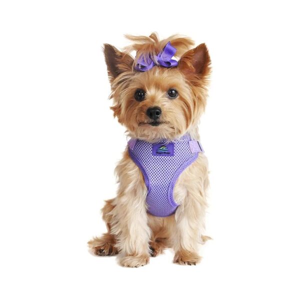 Choke-Free Medium Paisley Purple Dog Harness with Adjustable Wrap and Snap