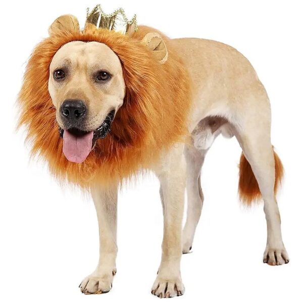 Christmas and Halloween Dog Costume with Crown and Lion Mane for Large Dogs